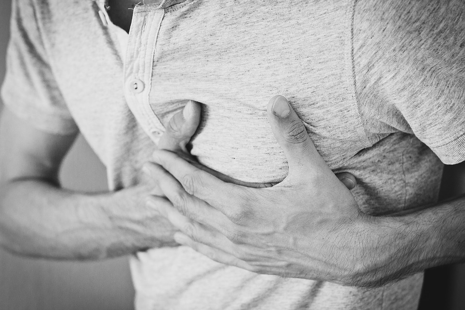 RICAMBIO: METABOLISMO- CIRCOLAZIONE- INTESTINO CARDIOVASCOLARE