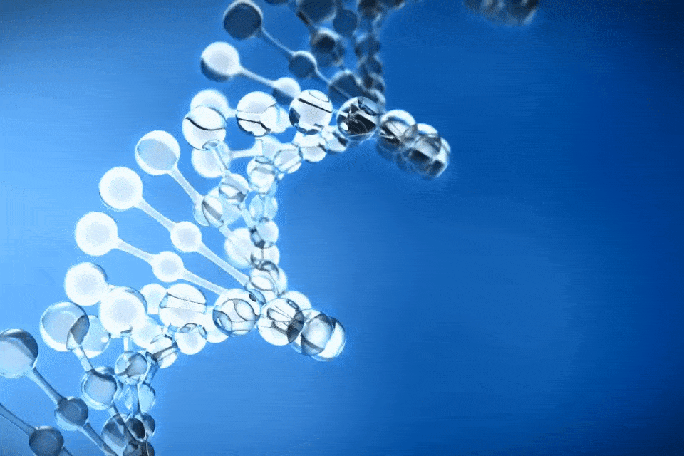 Epigenetica ed alimentazione
