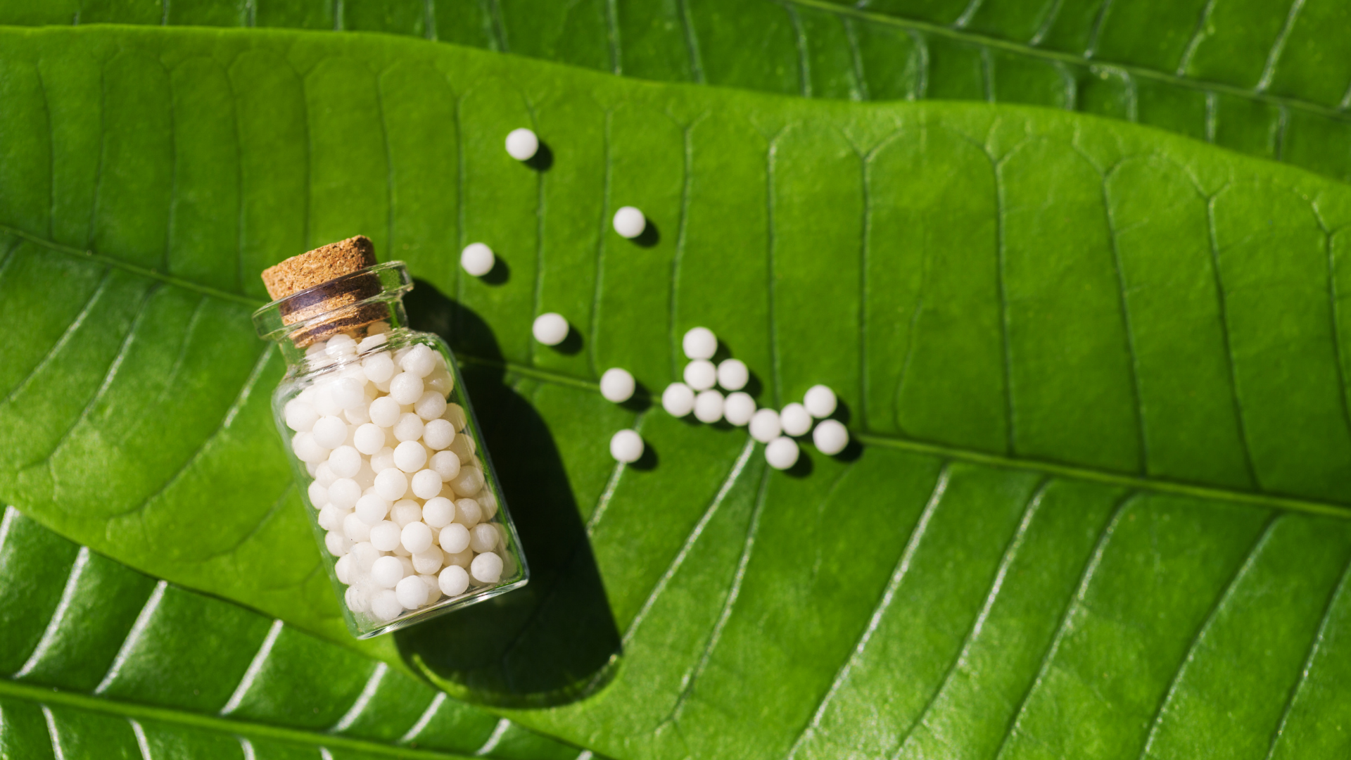 CORSO BASE DI IMMUNOFARMACOLOGIA
